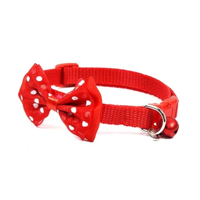 Bow Decor Pet Collar Dot Design