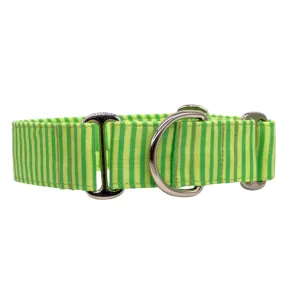 Martingale Collar - Lime Twist Stripes