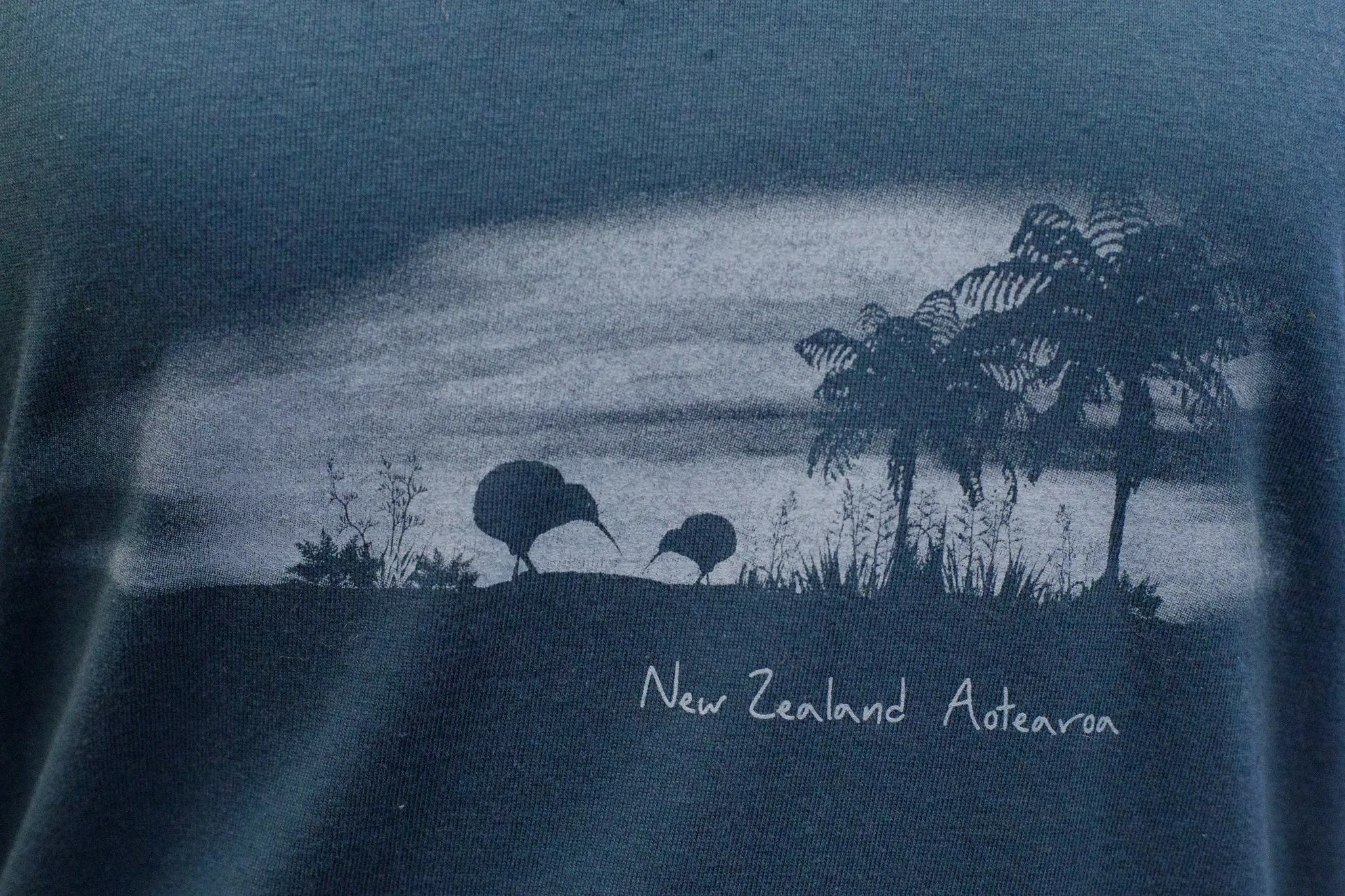 Moonlight Kiwi T-Shirt