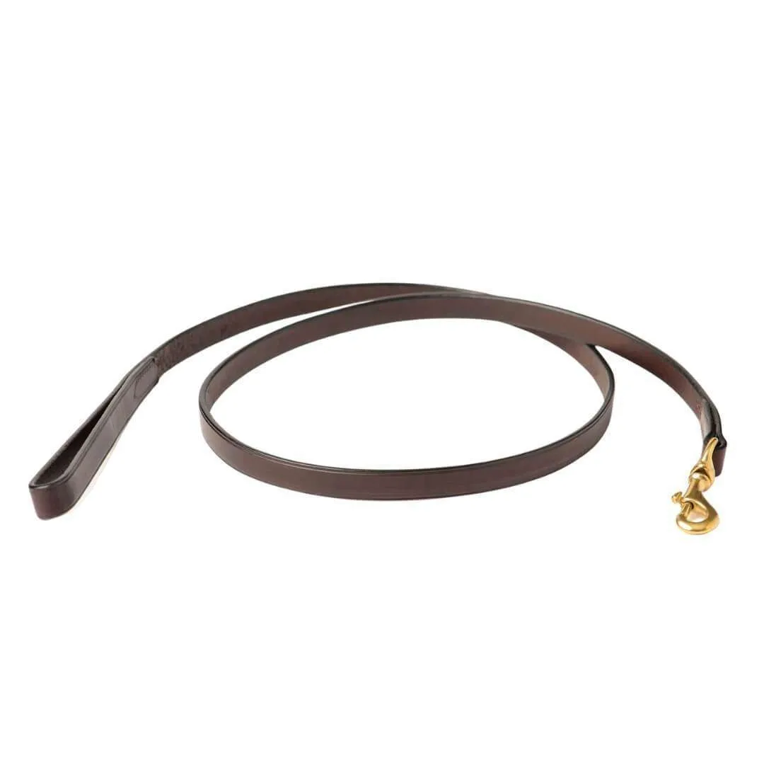 Premium Leather Dog Collar   Leash