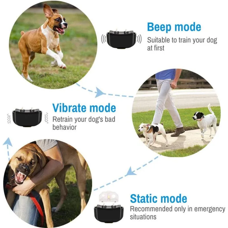 SMAXElite™ Remote Dog Shock Training Collar: 330Yds, Rechargeable, Waterproof LCD